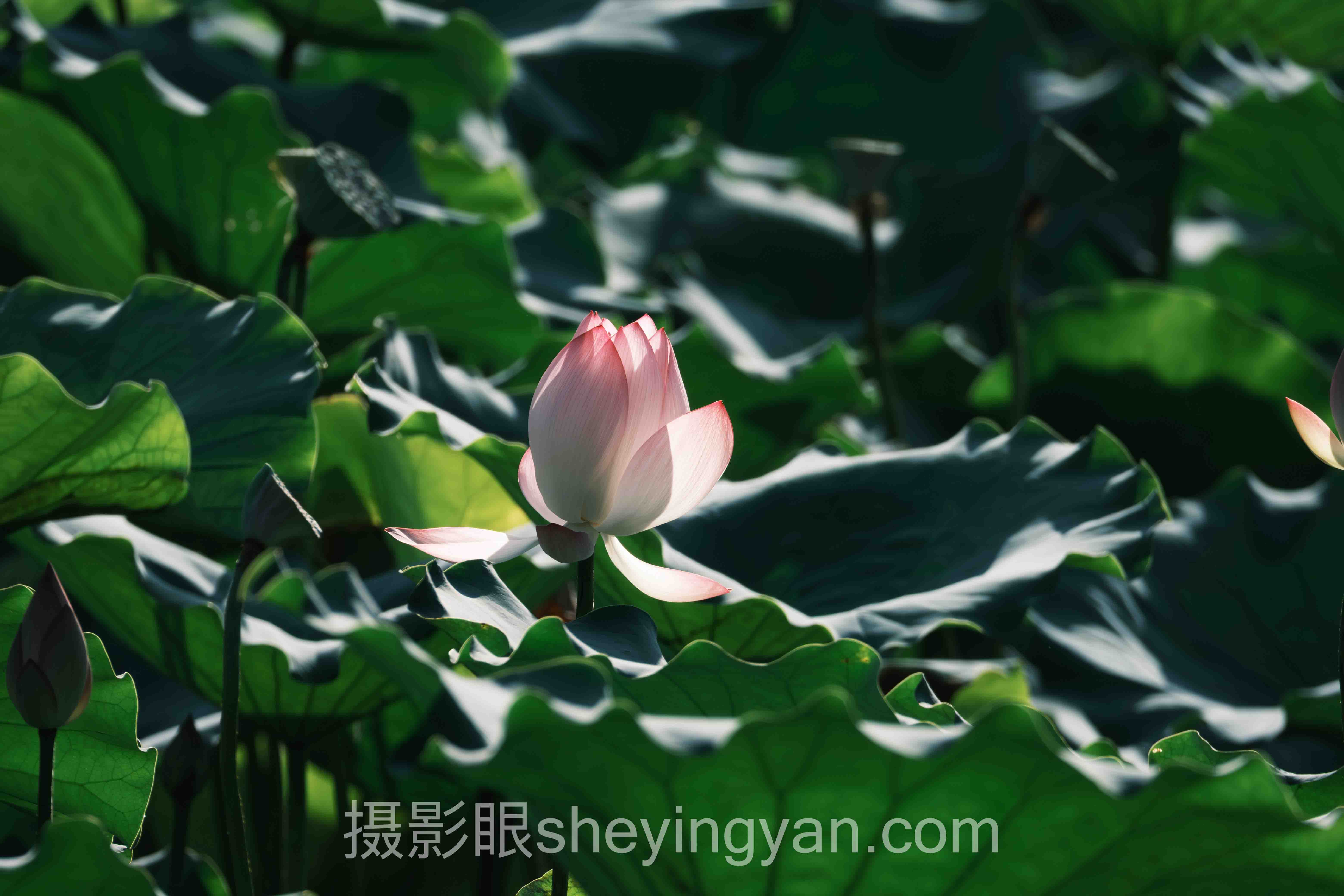关于摄影进步课程的N个关键问题，一次说清