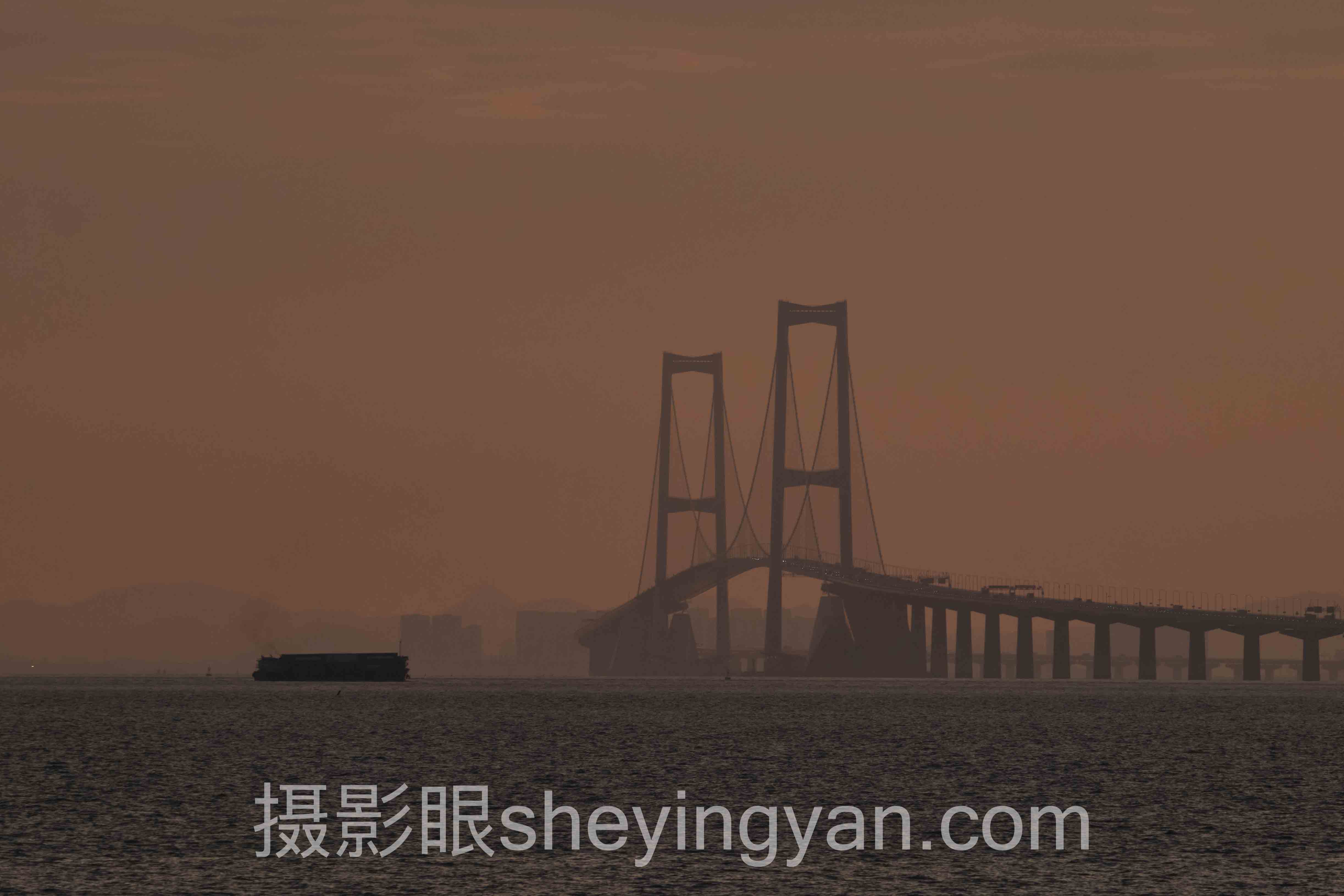 照片点评AI评分主流方案横向对比：哪个更适合你？