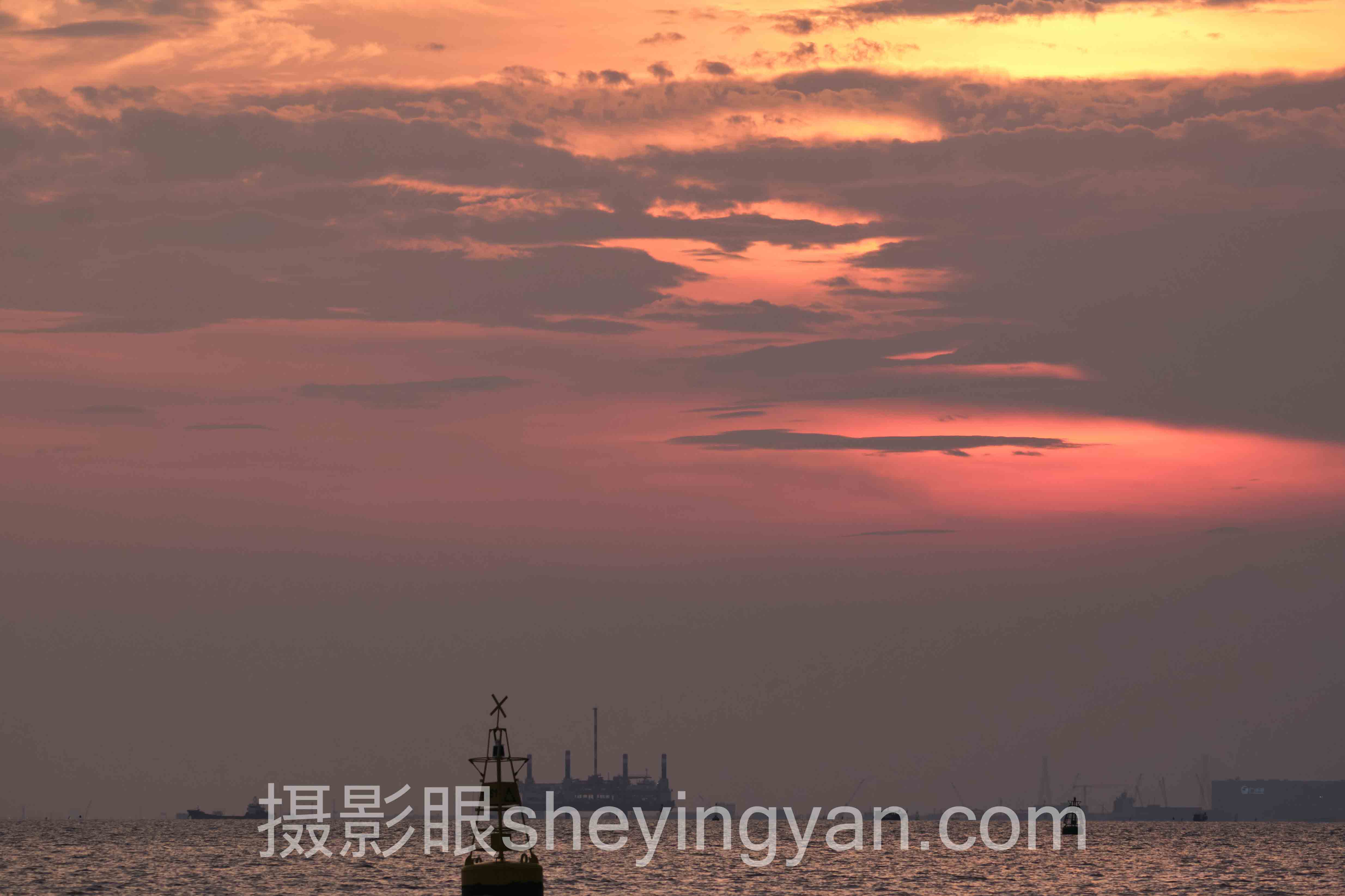 2024年摄影新手报班还是自学数据报告：6组关键数据与趋势洞察