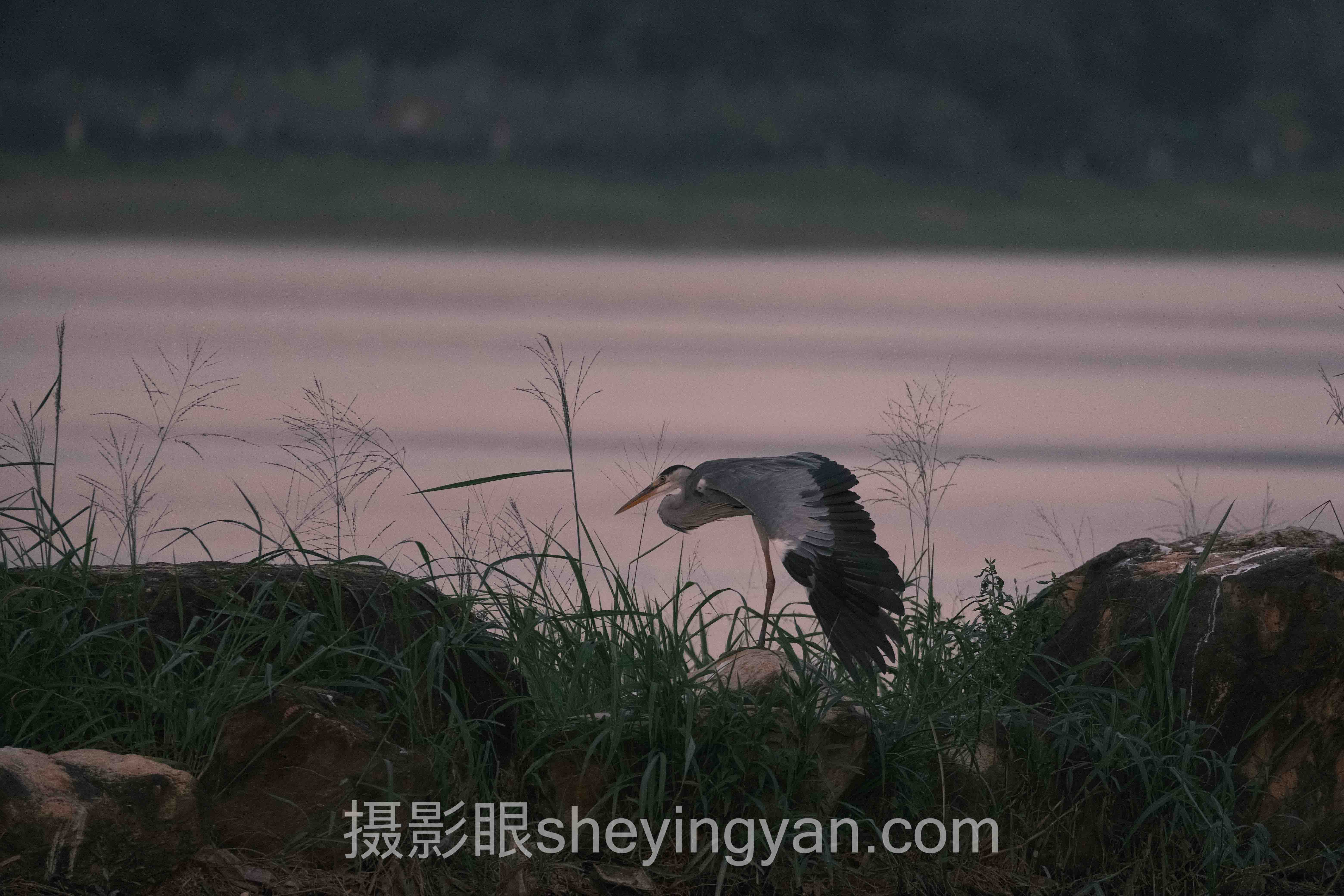 摄影眼sheyingyan.com摄影课程