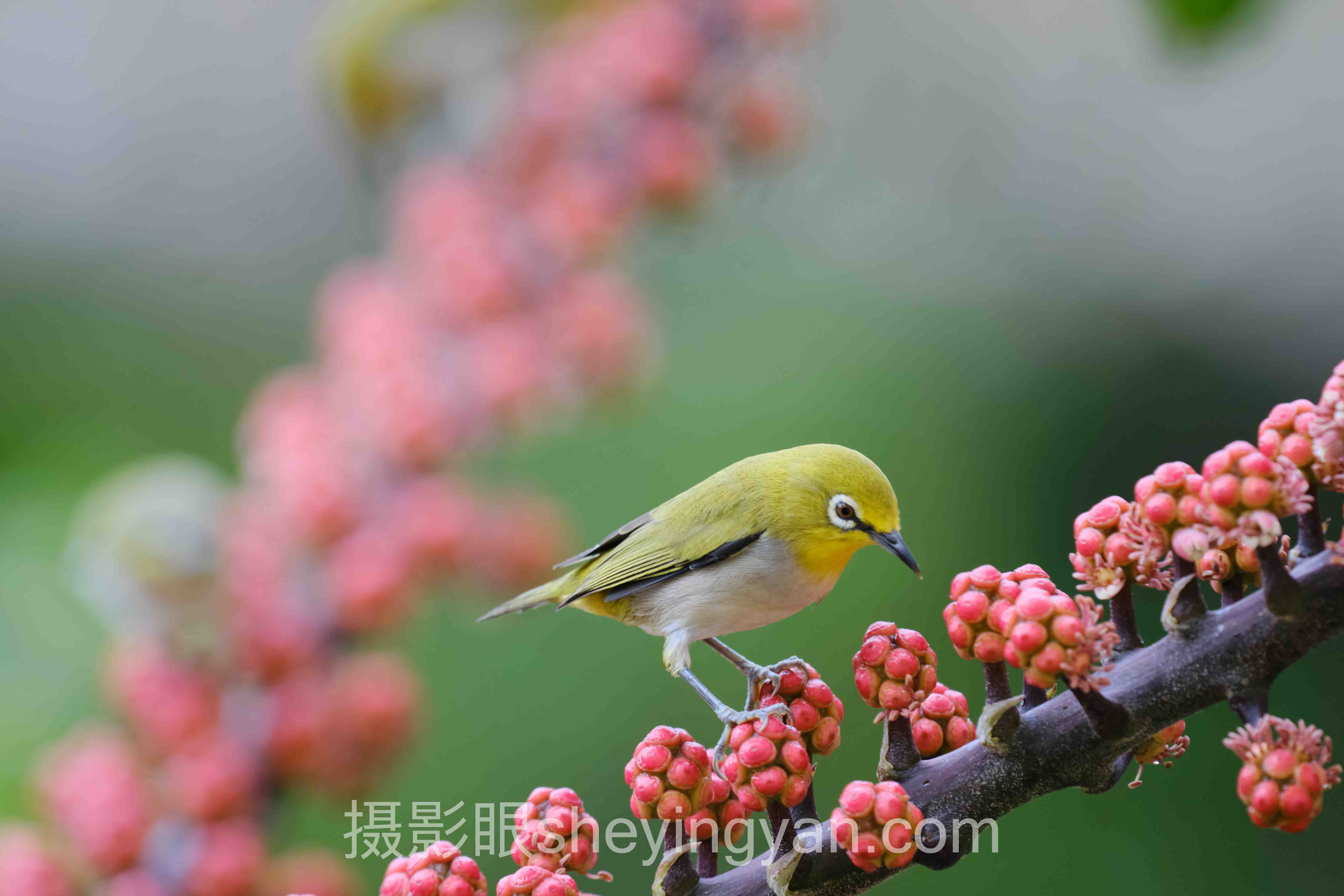 照片点评、AI照片评分、照片打分、照片评价十人谈：8位摄影与AI专家的核心观点汇总