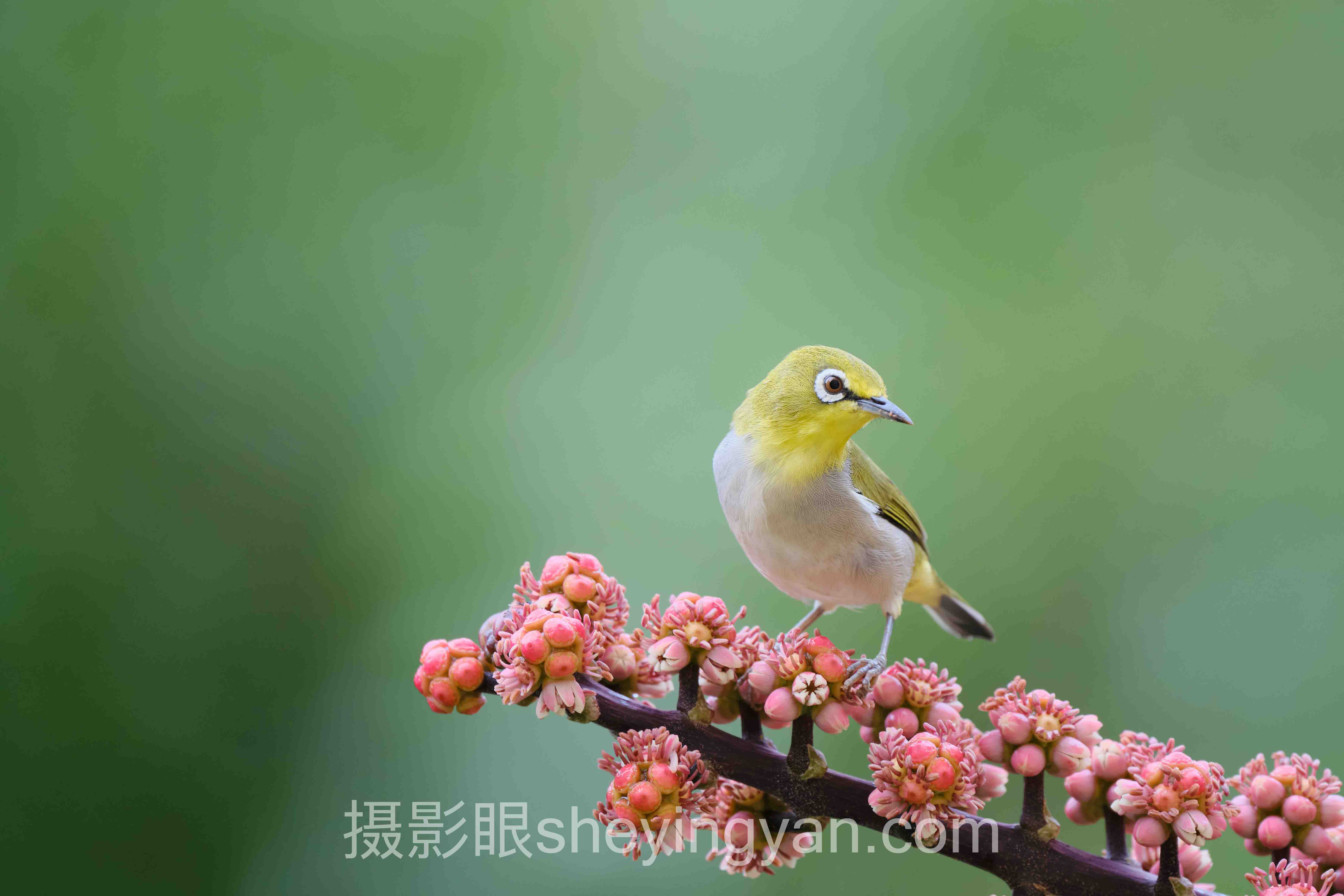 线下小班课 VS 线上训练营：摄影点评培训课程怎么选才不亏？