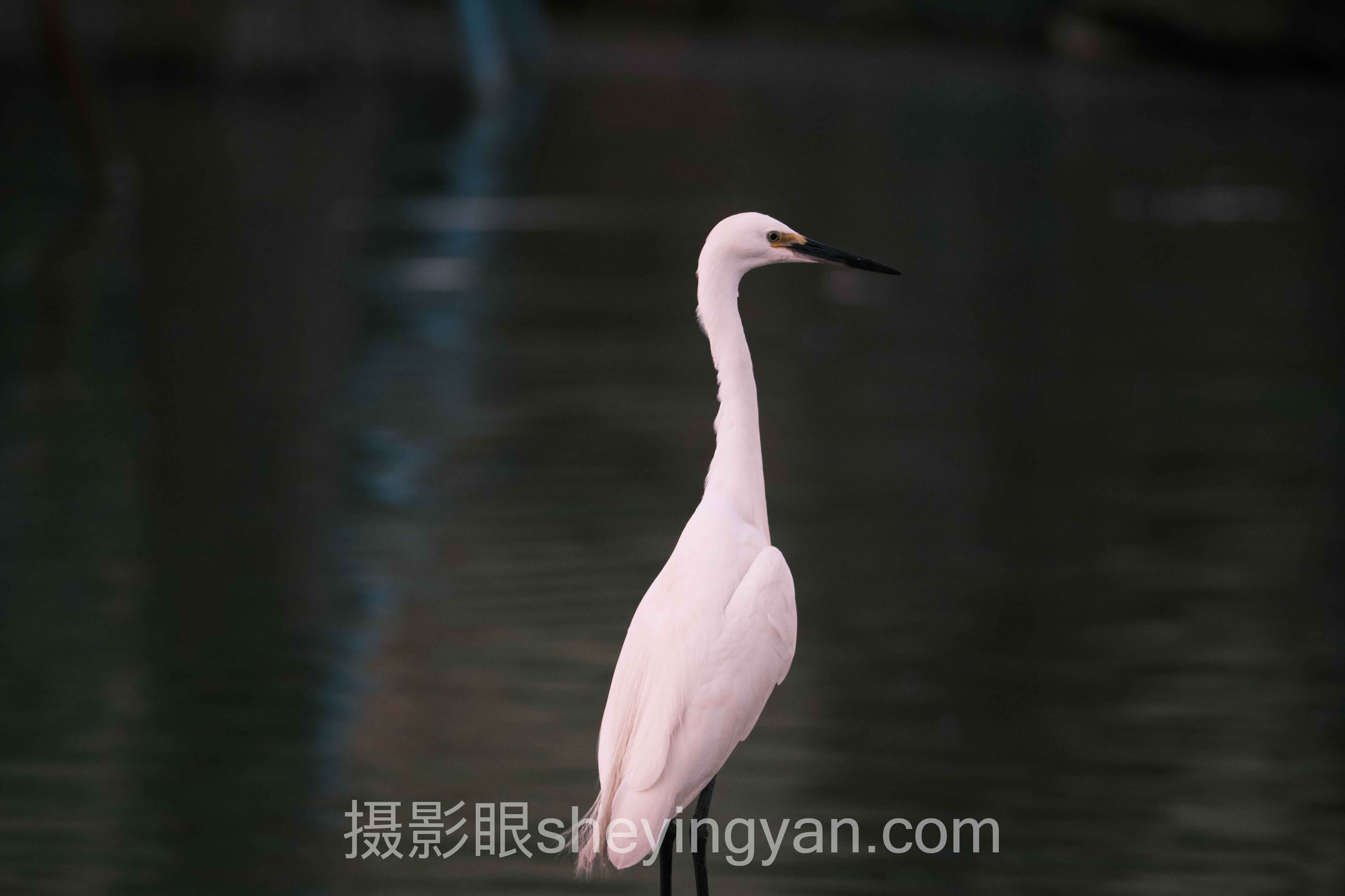 透视引导线构图拍风光：从底层逻辑到发展趋势