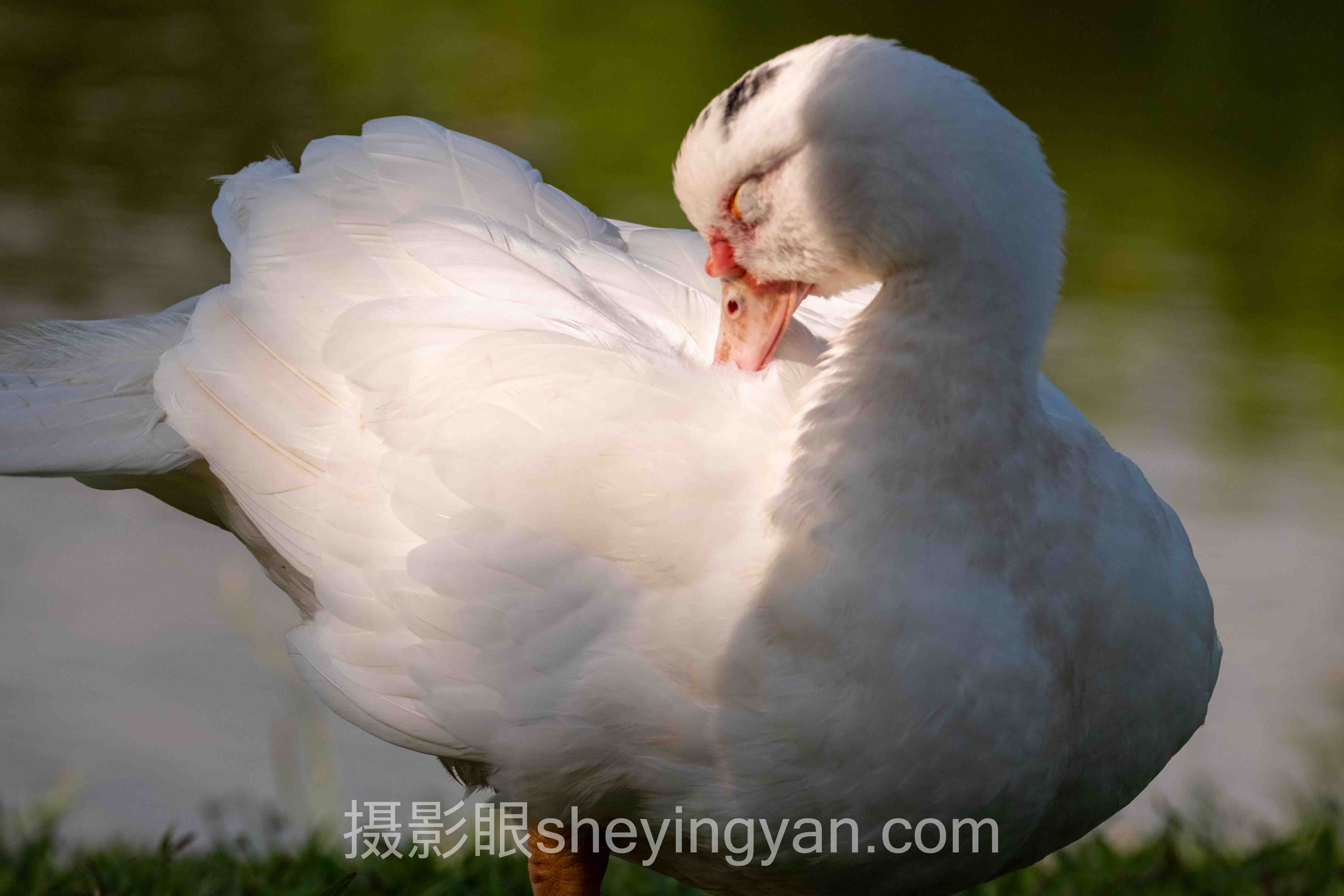 时间段光线数据全景：6组数据揭示出片率真相