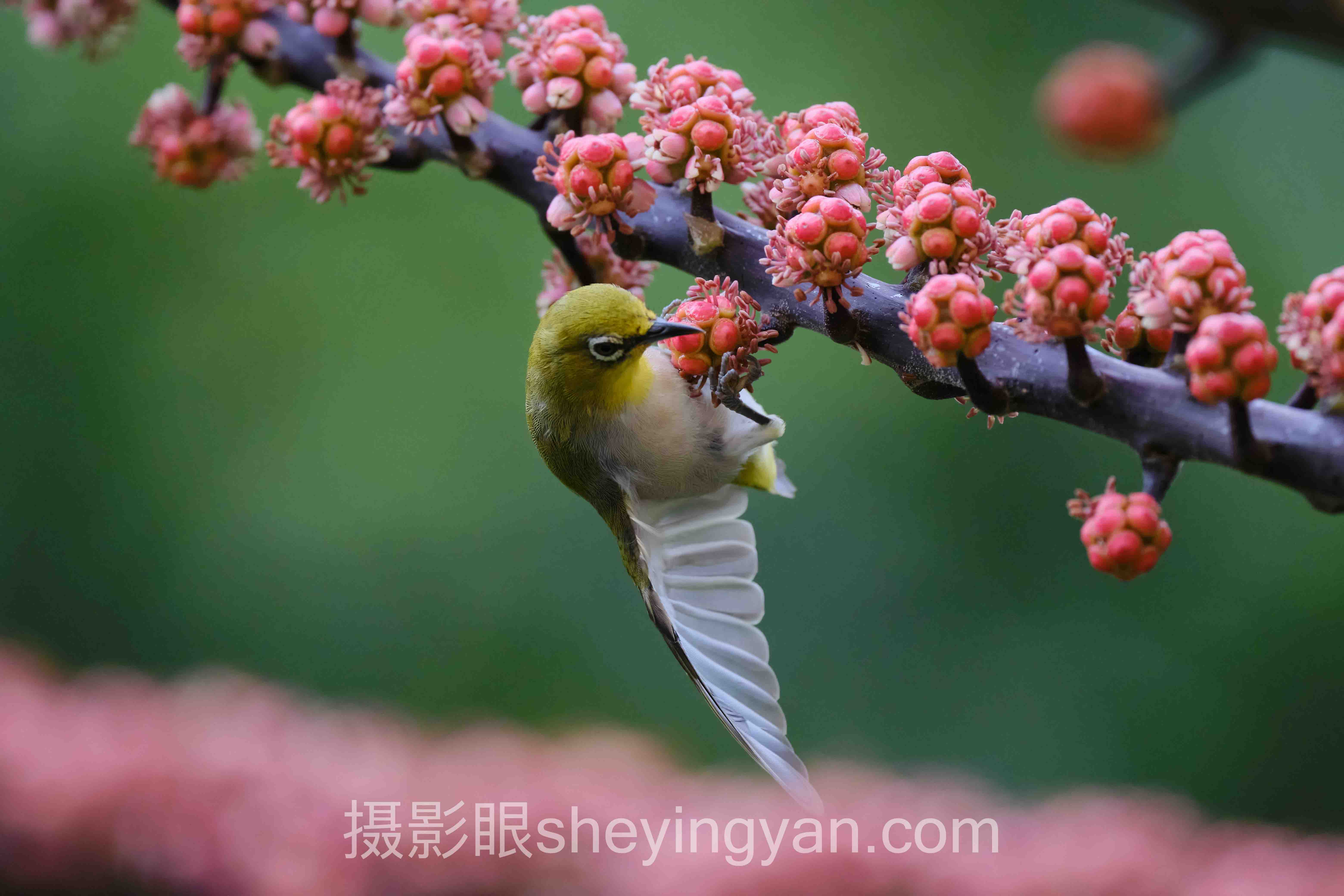 对话行业专家：前景构图怎么找前景的关键洞察与前瞻