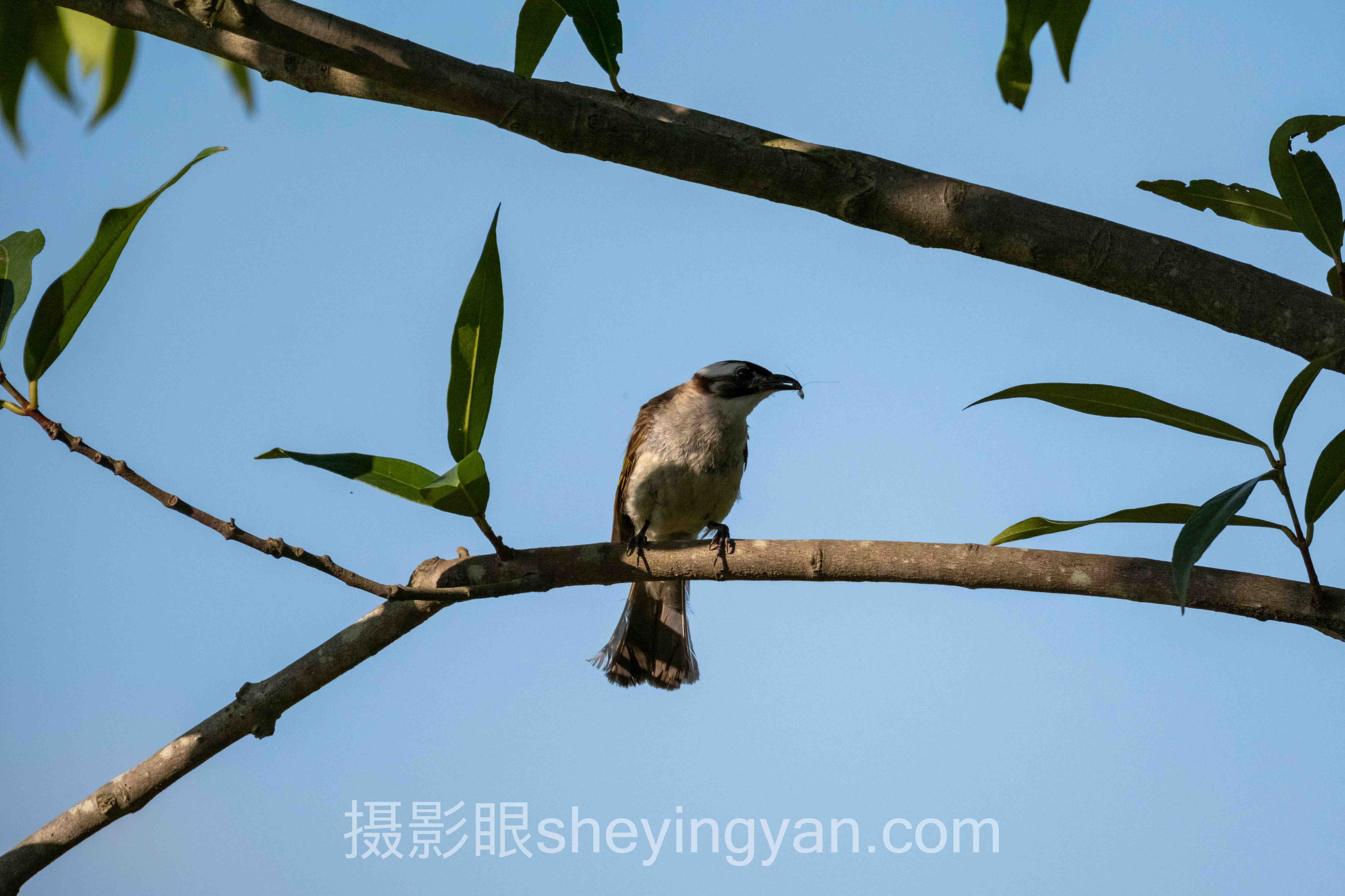 选照片点评平台不踩坑：5维度对比指南